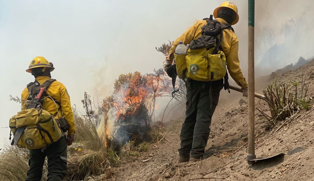 Foto: Cortesía Fuerzas estatales y federales unen esfuerzos contra incendios en Puebla