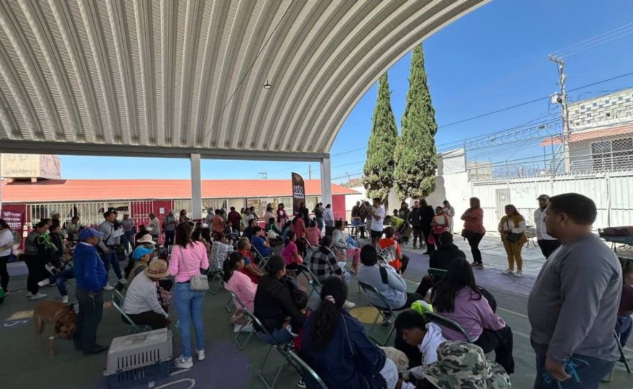 Foto: Cortesía Servicios gratuitos para el bienestar animal en Valle del Paraíso