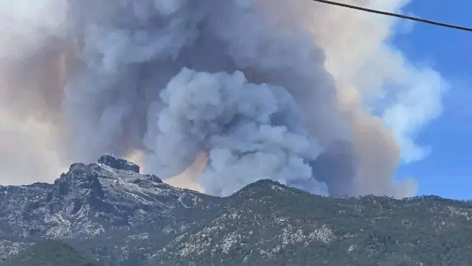 Foto: Cortesía Inicia combate aéreo para sofocar incendio en el Cofre de Perote, Veracruz