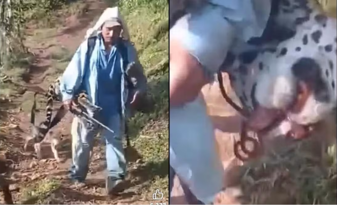 Foto: Cortesía Denuncian racismo en caso de indígena ayuujk acusado de matar a jaguar
