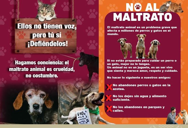 Foto: Cortesía Atlixco reitera su compromiso con la protección de los animales
