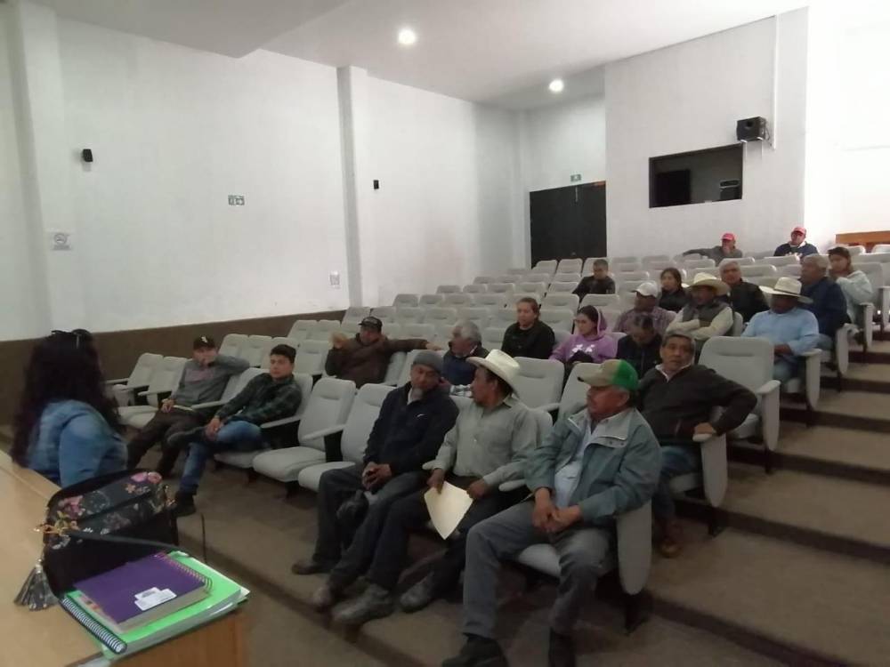 Acciones coordinadas para restaurar y conservar hábitats de luciérnagas en Tlaxcala