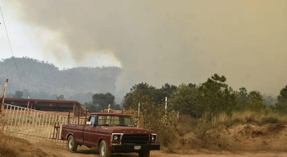 Foto: Cortesía Incendio forestal en Atltzayanca: un desafío épico por salvar el bosque