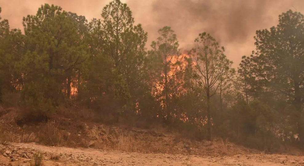  Incendio en Atltzayanca: Pobladores luchan contra fuego nunca antes visto