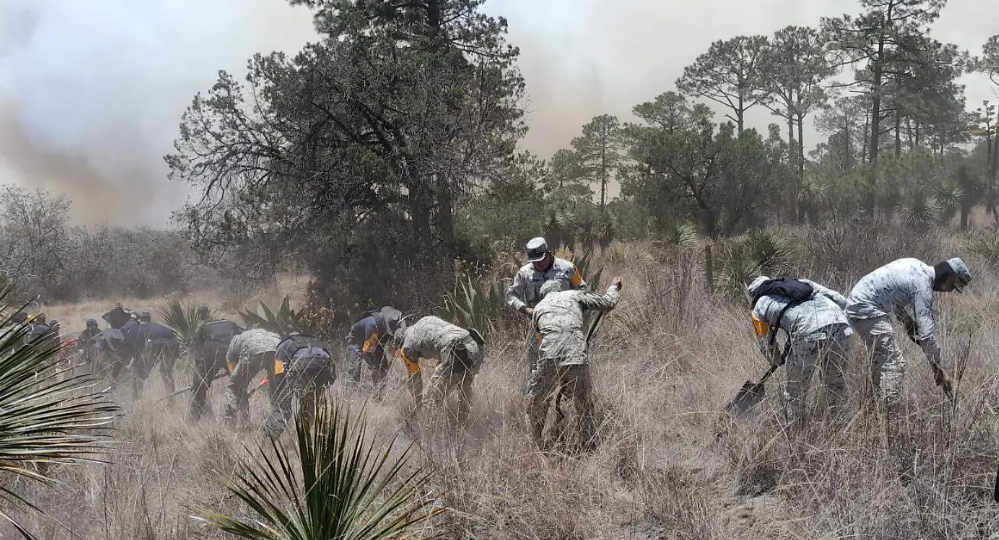 Incendio controlado en Tlaxcala: Autoridades presentan plan de restauración