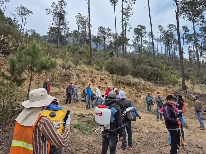 Desmiente Mujeres Organizadas de Tlaxcala informe oficial sobre incendio en Atltzayanca 