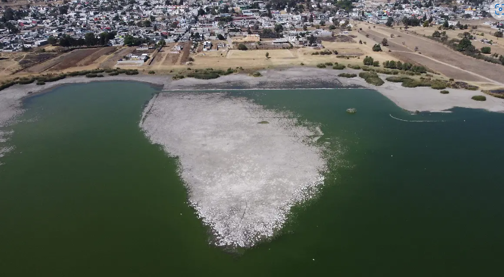 Contaminación en la laguna de Acuitlapilco: Xiloxoxtla actúa
