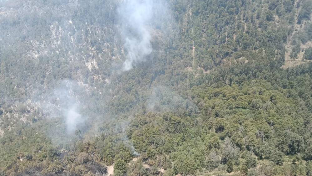 Tlaxcala reforestará cerro San Gabriel tras ecocidio por incendio
