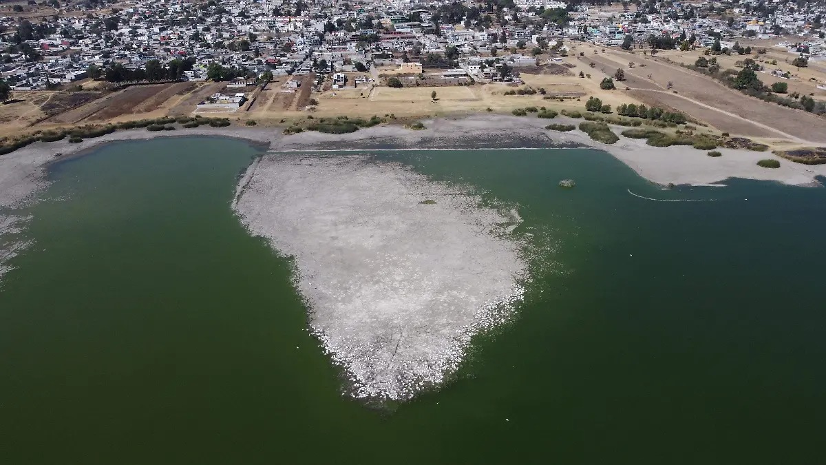 Empresas contaminan laguna en Tlaxcala; PROPAET lanza advertencia