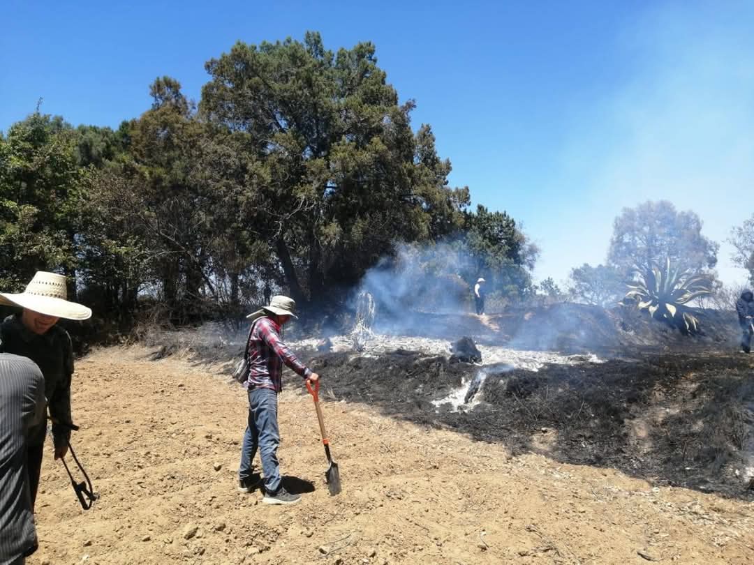 Foto: Especial Continua activo incendio en Totolac, suman 63 siniestros en lo que va del año