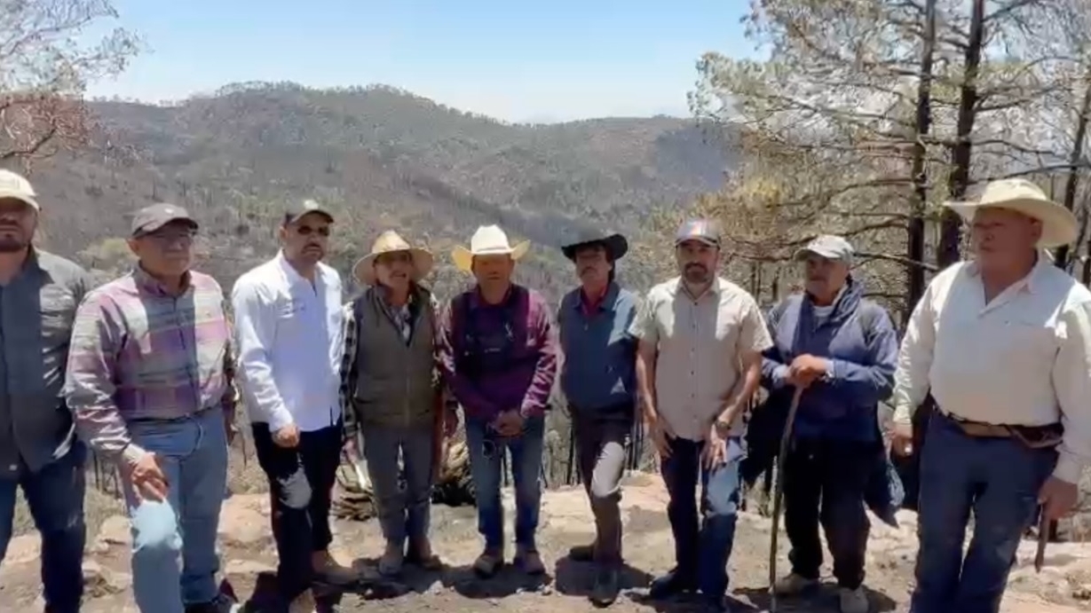 Avanza estrategia de restauración forestal tras incendio en Atltzayanca