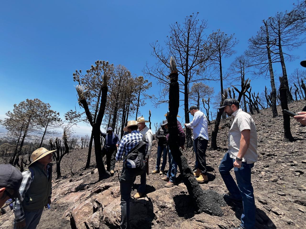 Reforestarán cerro San Gabriel tras incendio en Atltzayanca