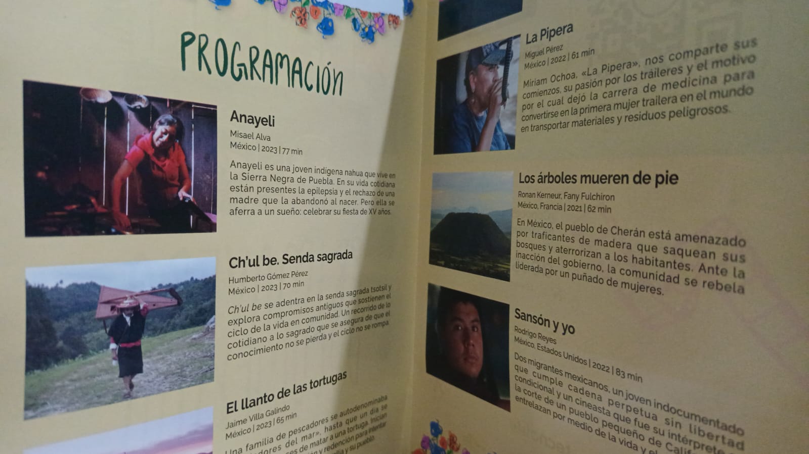 Foto: Cortesía Documentales que inspiran: 7 historias de resiliencia y valentía