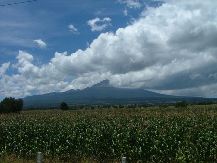 Disminuyó actividad económica en Tlaxcala a finales de 2024: INEGI