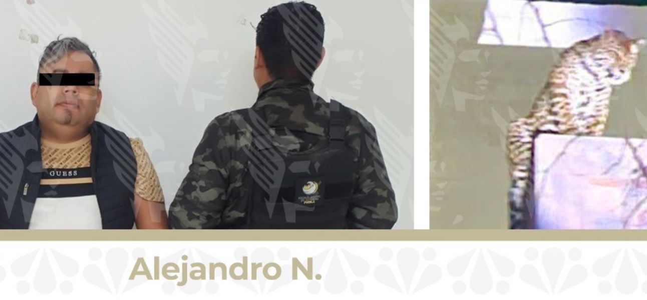 Foto: Cortesía Detienen a hombre armado en cateo en San Jerónimo Caleras