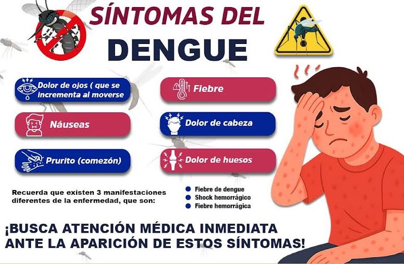 Foto: Cortesía Atlixco refuerza acciones para prevenir el dengue este verano