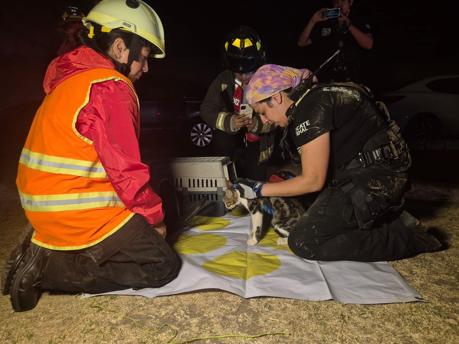 Por: Cortesía Lula Pineda Rescatan con éxito a gato que cayó en un pozo en Cuautlancingo