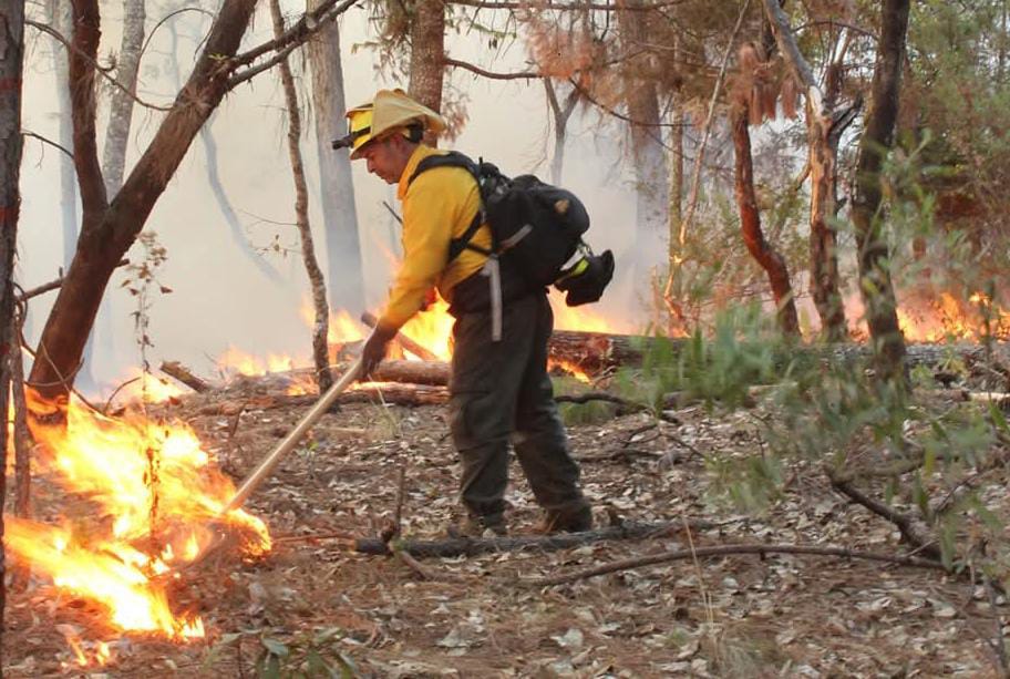 Foto: Cortesía Tlaxcala enfrenta 332 incendios forestales en un año: la mayoría son provocados