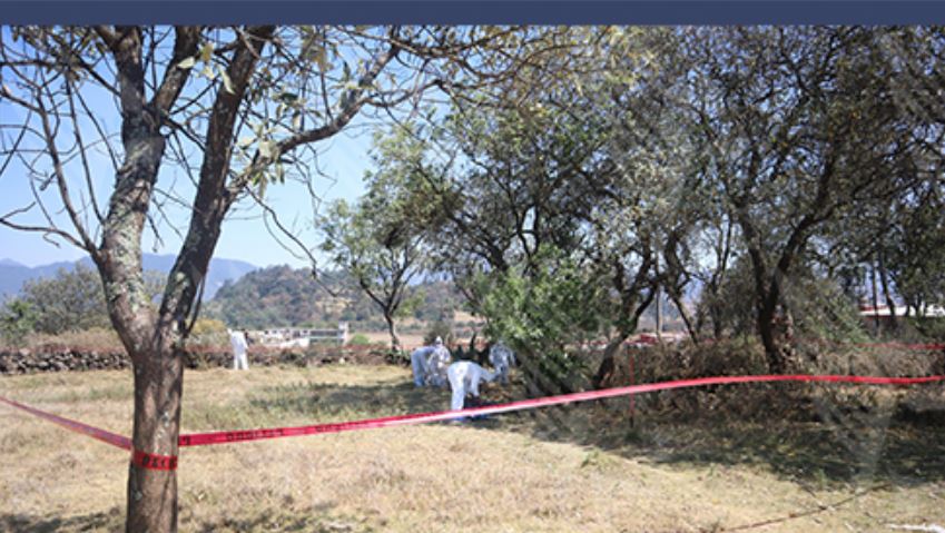 Foto: Cortesía Investigan muerte de “Lanuda” por posible crueldad animal en Zacatlán