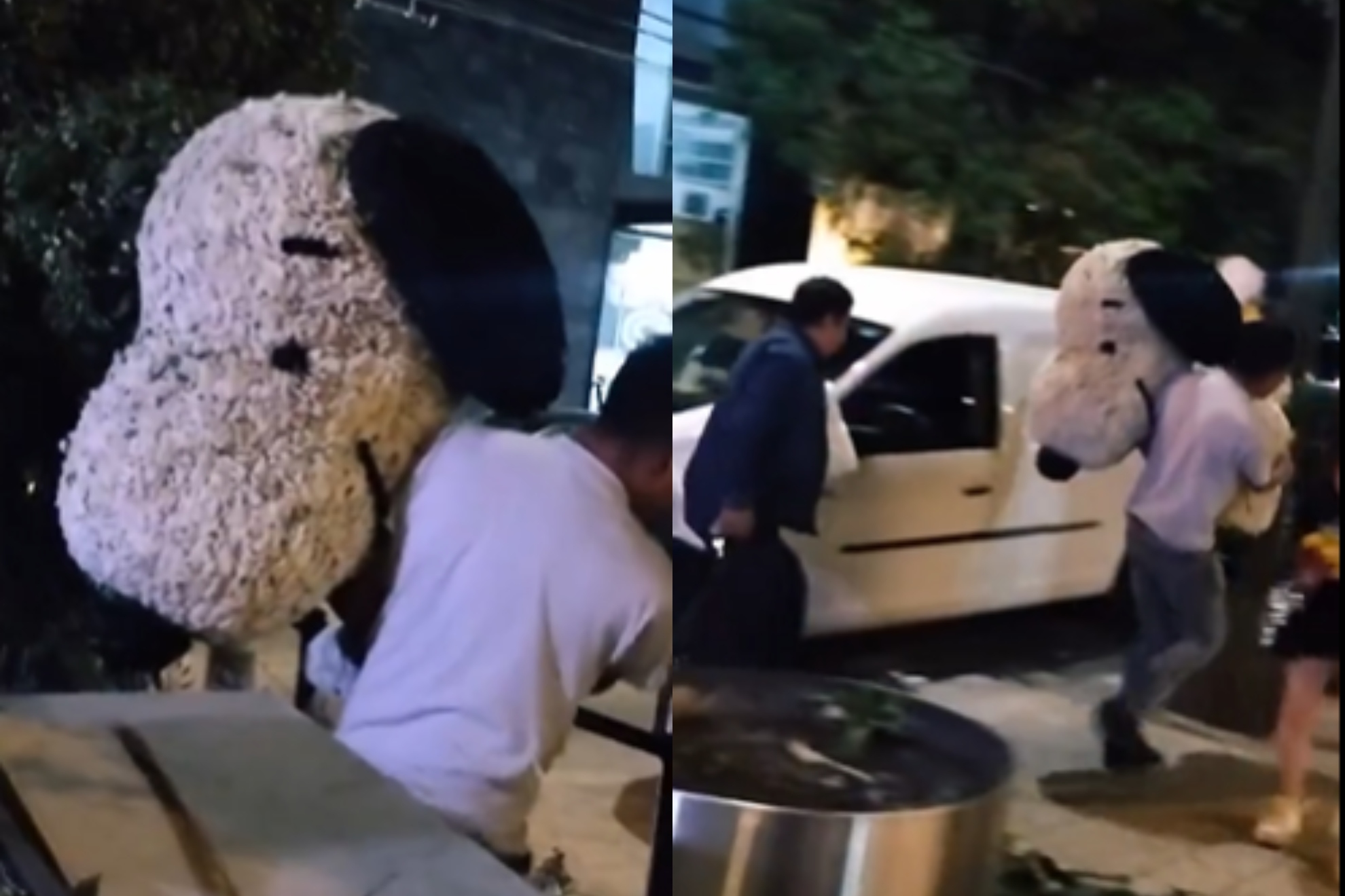 Foto: Cortesía Indignación en redes: roban figura floral de Snoopy en Polanco