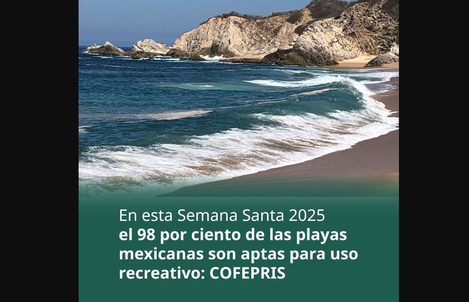 Foto: Cortesía Gobierno de Acapulco rechaza informe de Cofepris sobre playas contaminadas
