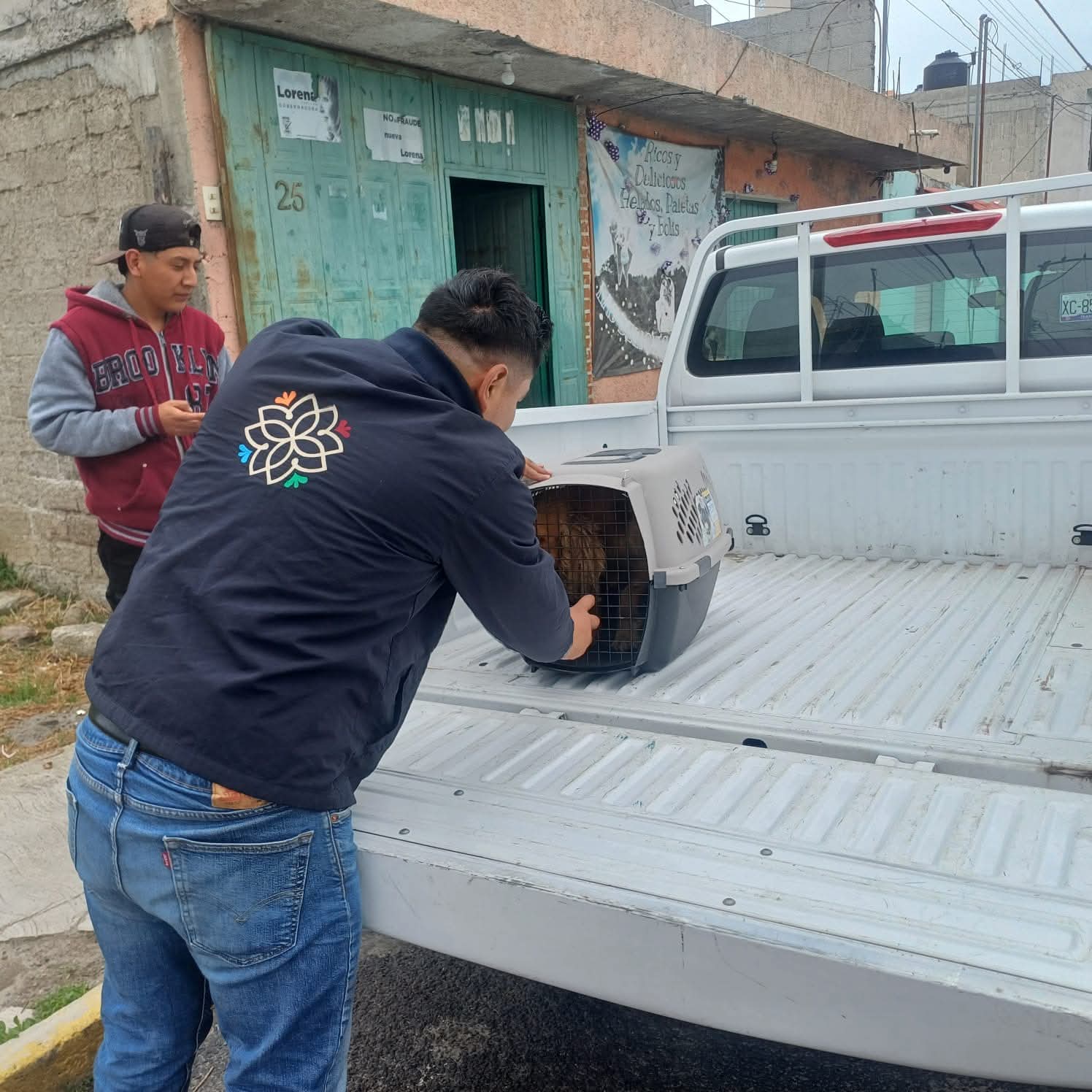 Foto: Archivo  No fueron sacrificados: PROPAET aclara destino de 14 lomitos capturados en la capital