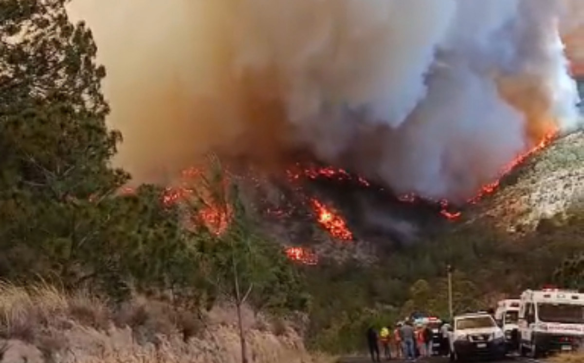 Foto: Cortesía Tlaxcala mantiene pocos incendios en 2025, pero alerta sobre hectáreas dañadas