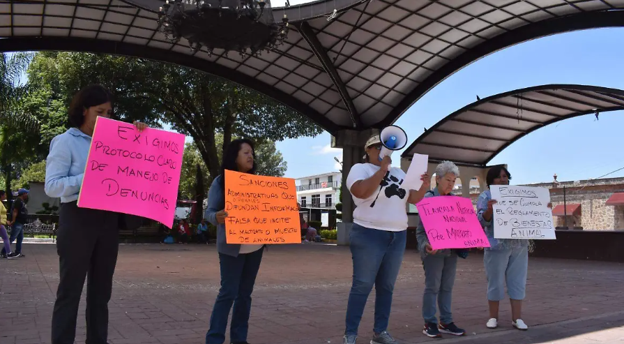 Foto: Cortesía Contla y Movimiento Animalista acuerdan plan para proteger y adoptar perros callejeros