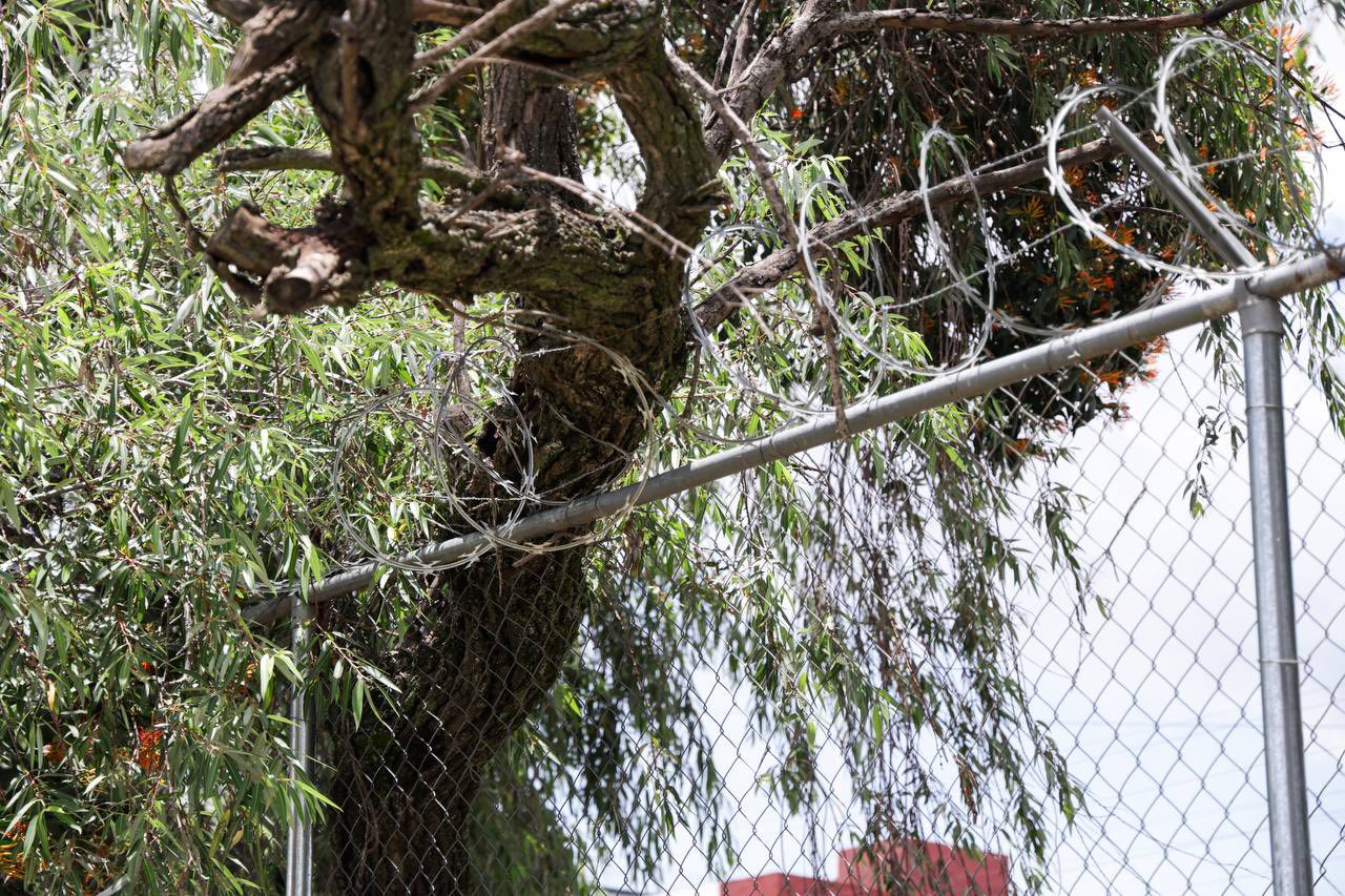 Inician construcción de barda perimetral en el Centro Escolar “Dr. Alfredo Toxqui” en San Andrés Cholula