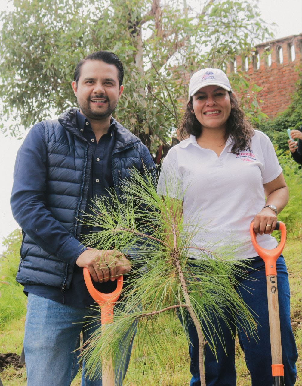 reforestación sach 4