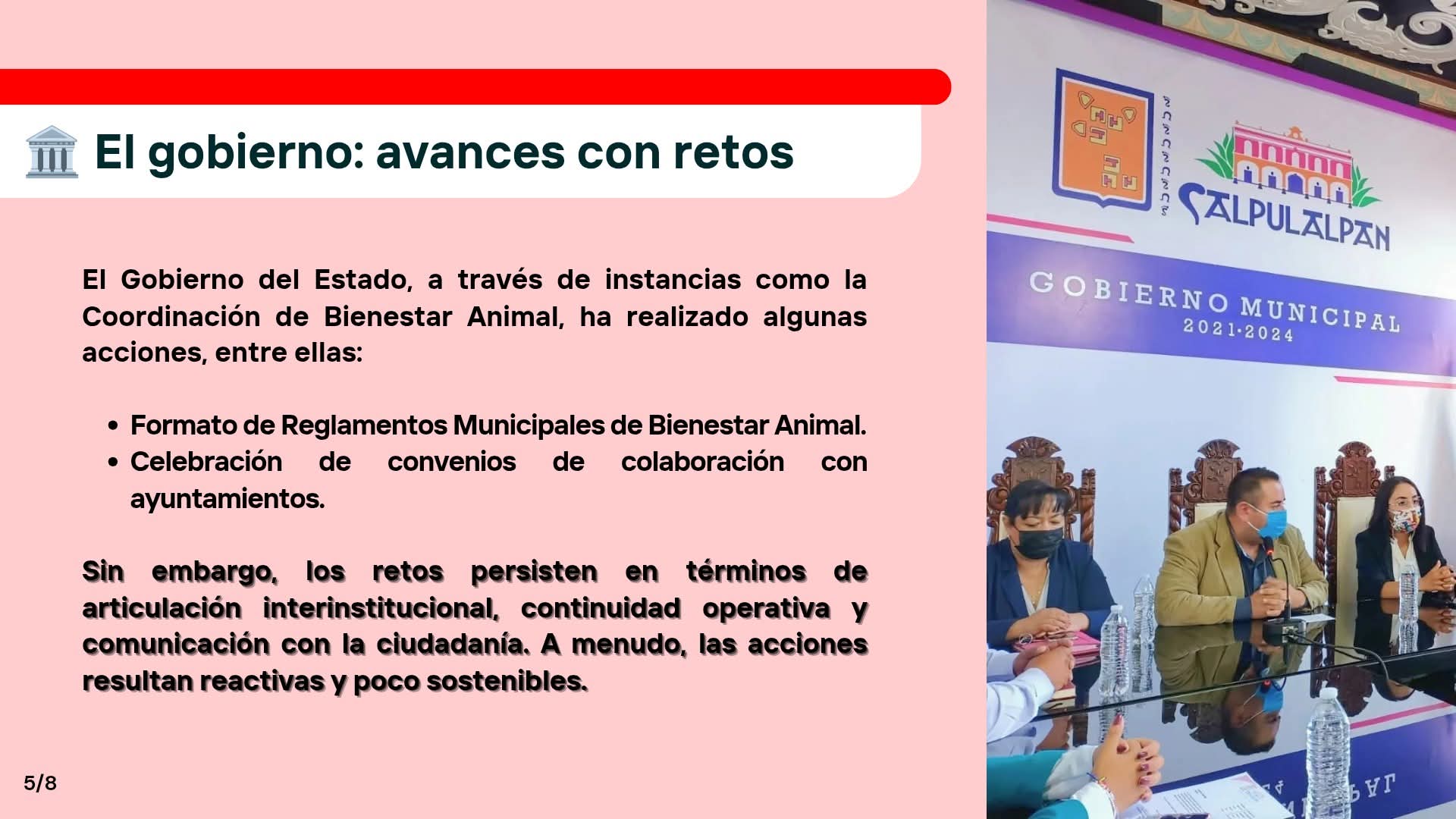 Gobierno de Tlaxcala, con acciones reactivas y poco sensibles en Bienestar Animal: OCPA