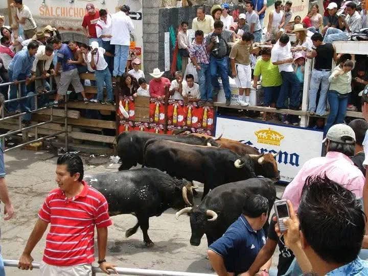 Defiende Chava Santos su postura: "Huamantlada se disfruta con emoción no con litros de alcohol"
