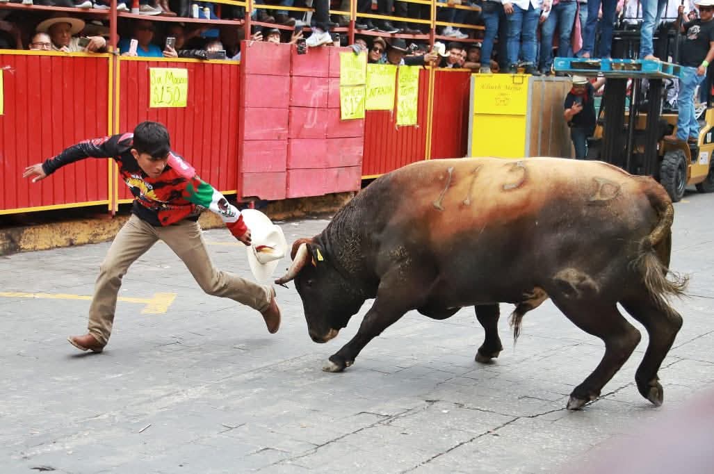 Foto: Cortesía "Huamantla no necesita del exceso", celebra Chava Santos éxito de gran capea 2025