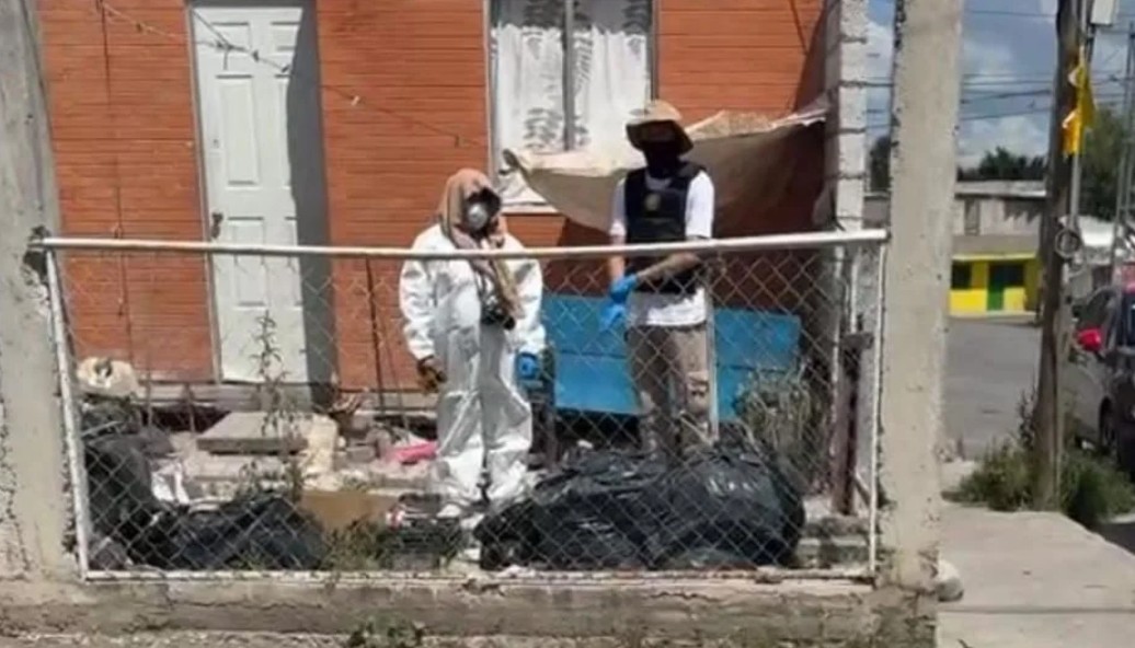 Foto: Cortesía Cateo histórico en Tehuacán por maltrato animal