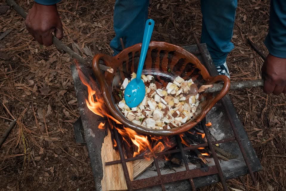 Foto: Cortesía Segundo Festival de Hongos en Teolocholco: gastronomía, arte y cultura indígena