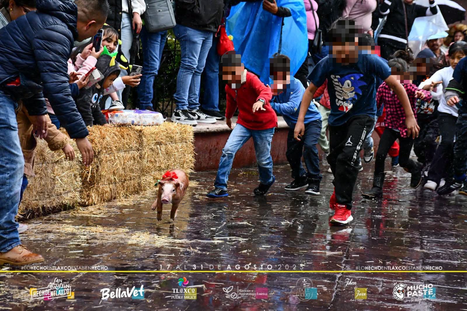Foto: Especial  Reconoce Tlaxco error en evento de "Puerco Encebado" en Tlaxco