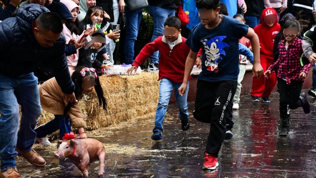 Foto: Cortesía Tlaxco prohíbe el “Puerco Encebado Infantil” y protege a niños y animales
