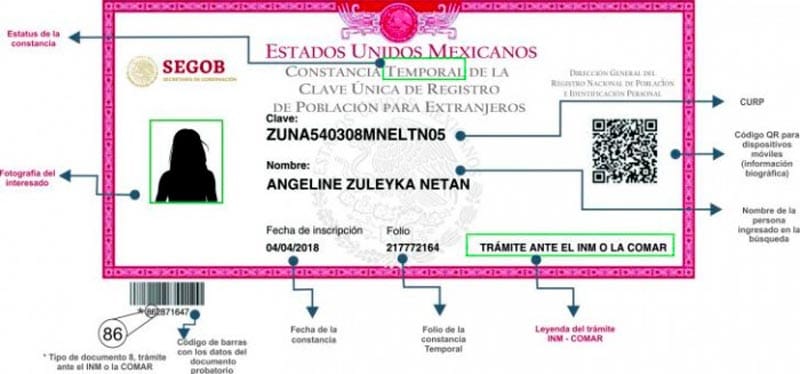 Foto: Cortesía Nueva CURP biométrica será obligatoria en 2026: requisitos y seguridad