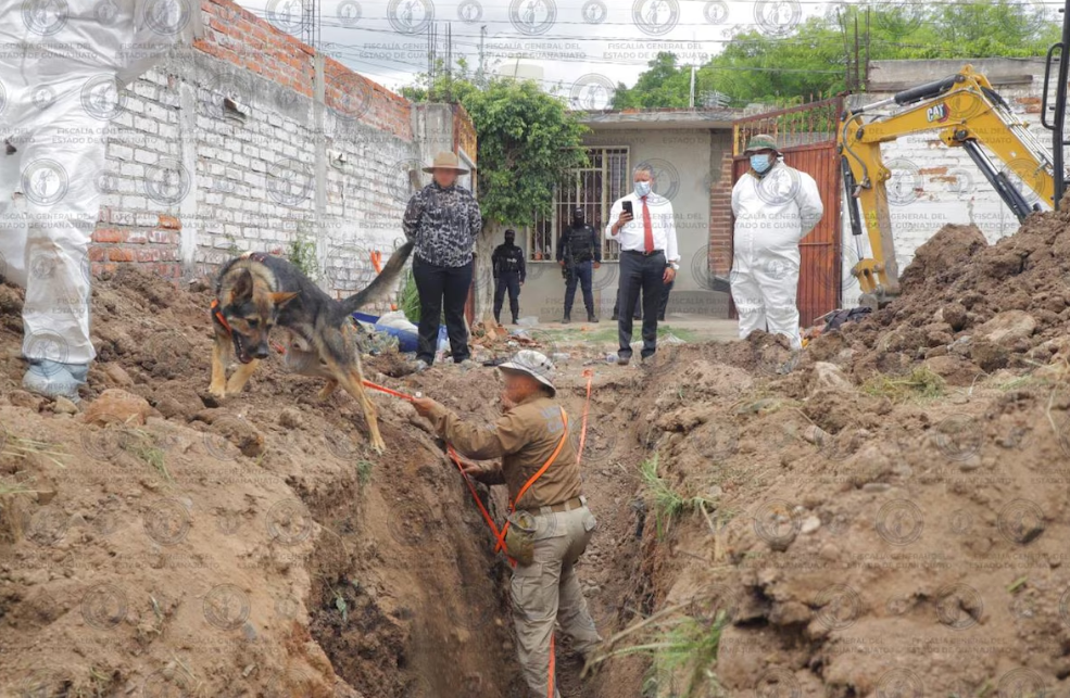 Foto: Cortesía Hallan 32 cuerpos en fosa clandestina de Irapuato; 15 ya fueron identificados