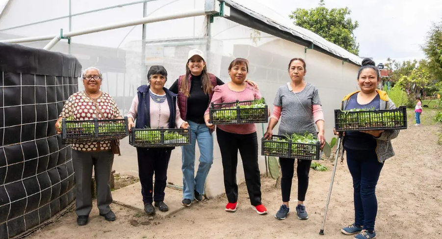 Foto: Cortesía Huertos familiares mejoran la alimentación de 275 familias en Tlaxcala
