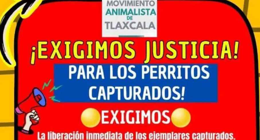 Foto: Cortesía Captura de perros callejeros en Tlaxcala desata protesta animalista