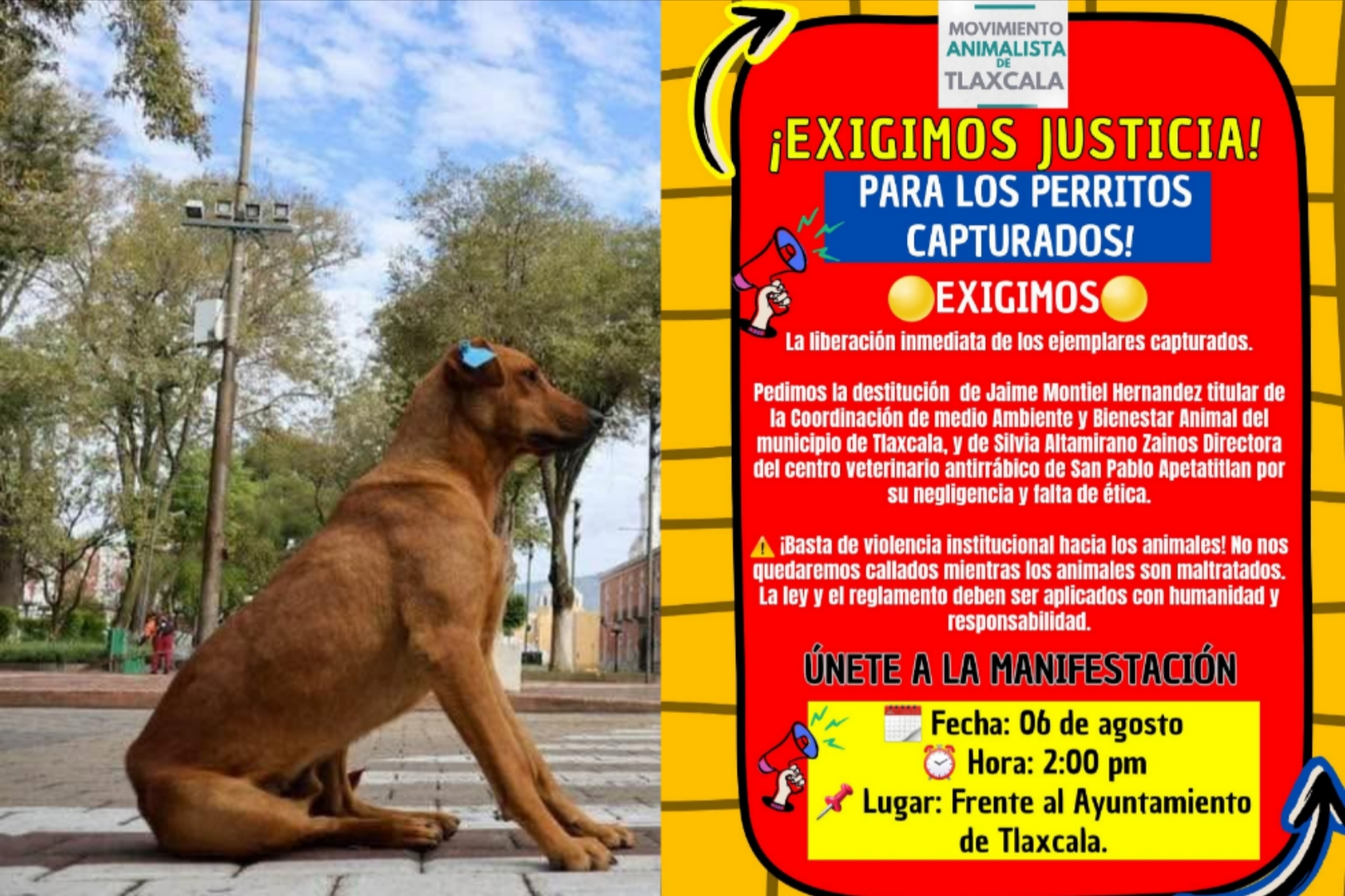 Foto: Especial  Anuncian animalistas marcha en la Capital por destitución de funcionario