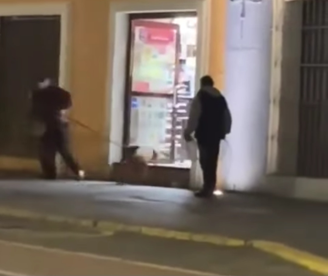 Foto: Especial  PROPAET y CBA se lavan las manos de captura de canes en la capital