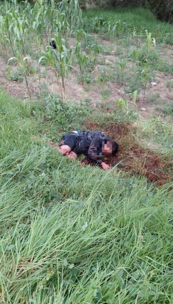 Foto: Cortesía Siete canes se adueñan de Aquiahuac en Contla, masculino resulta con lesiones