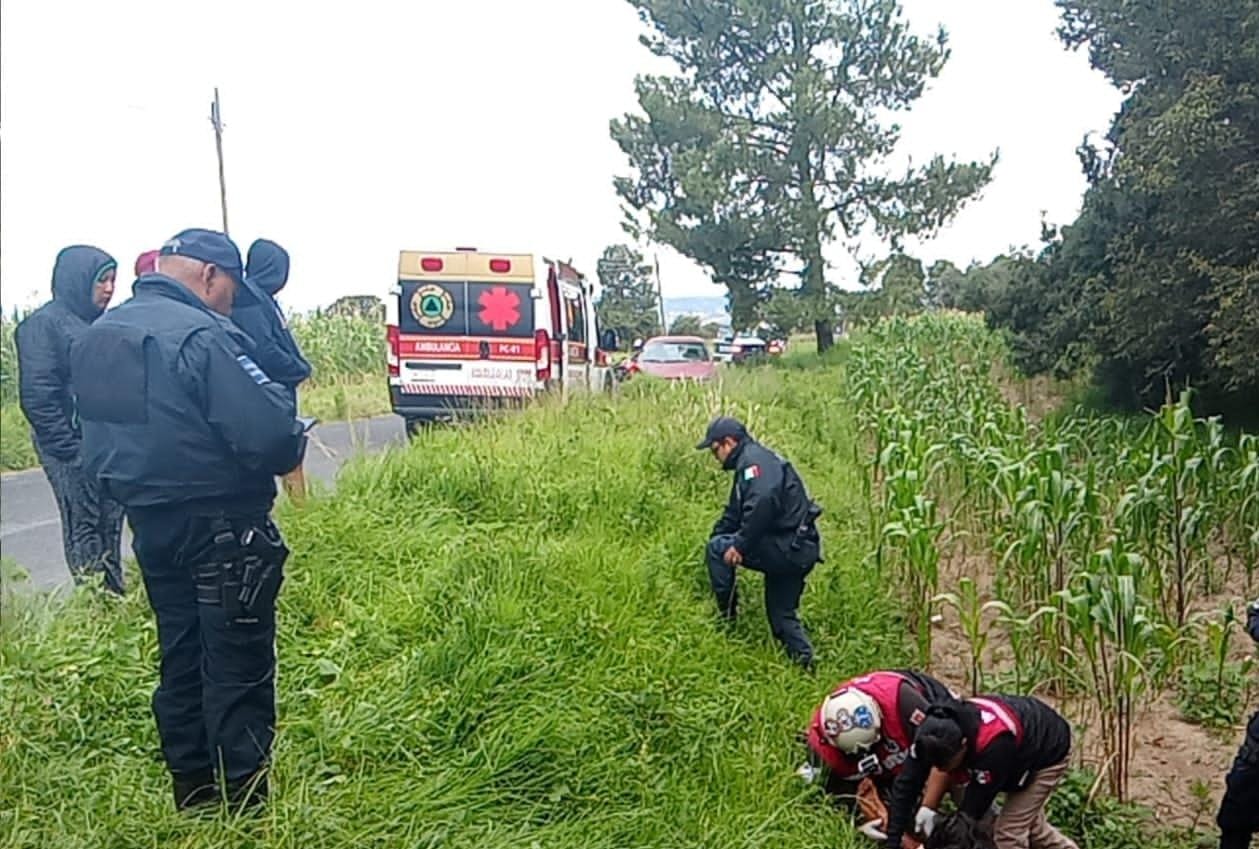 Foto: Cortesía Ataque de jauría deja a hombre gravemente herido en Contla