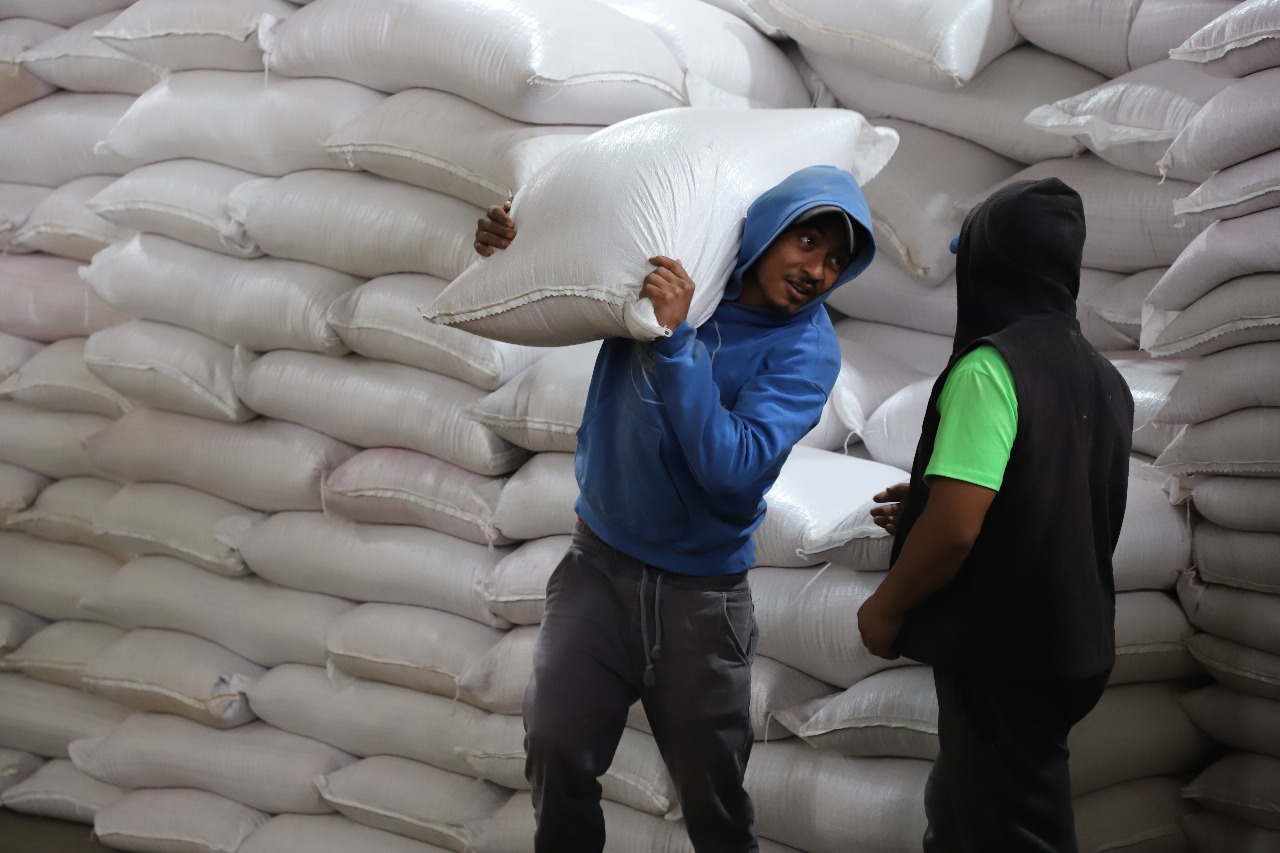 Foto: Cortesía SIA entrega semilla de avena en Tlaxcala para productores afectados por clima