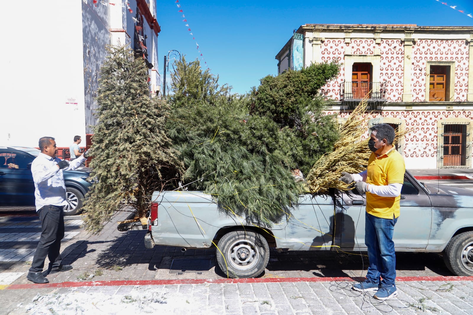 Por: Cortesía Lula Pineda Ayuntamiento de Cholula invita a participa en la iniciativa "Verde Navidad"