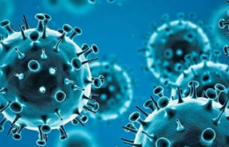 Foto: Cortesía Investigación sobre la muerte por metapneumovirus en Puebla