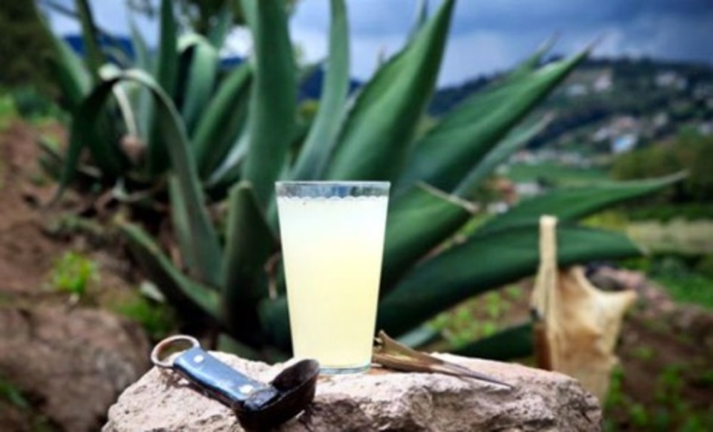 Foto: Cortesía ¡No te pierdas el Tercer Pulque Fest Hueyotlipan 2025 en Tlaxcala!