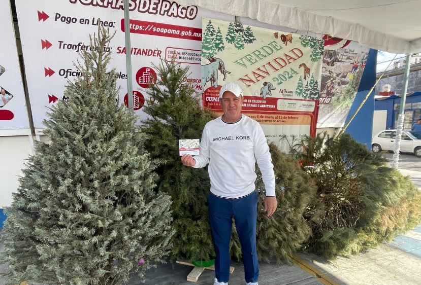 Foto: Cortesía “Verde Navidad 2024”: Recicla tu árbol en Atlixco y recibe cupón 2x1